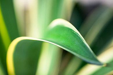 《艾尔登法环：黑夜君临》封闭测试现已开放注册